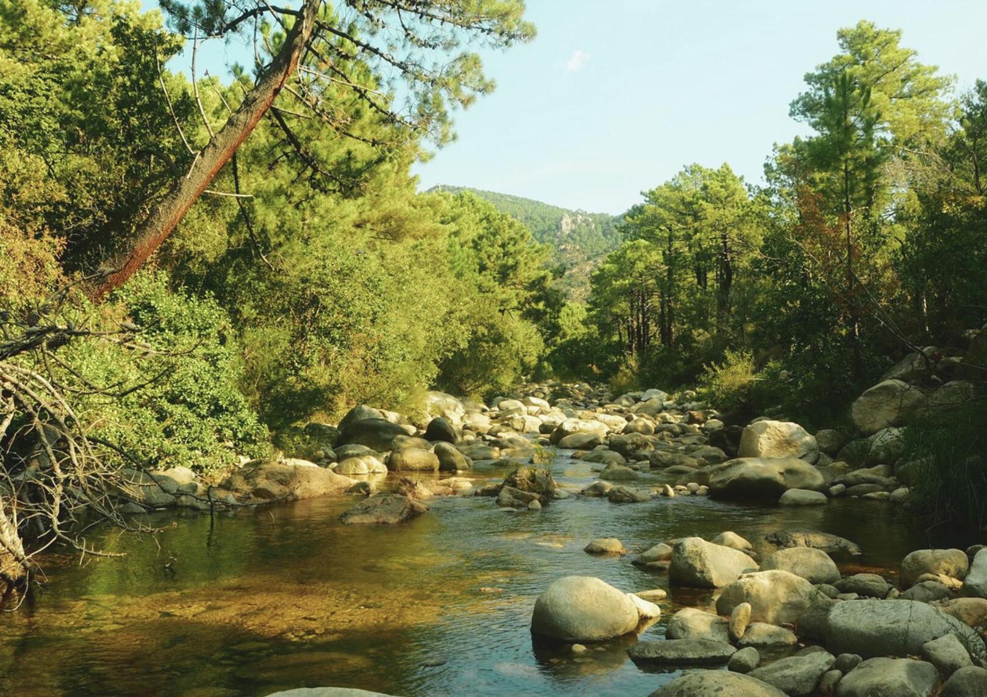 Camping Mulinacciu Lecci Bagian luar foto